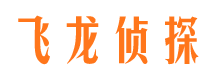 富平市私人调查